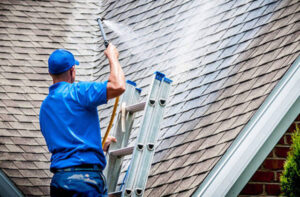 Read more about the article Importance of Having a Clean Roof