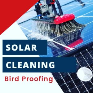 Read more about the article How Much Does It Cost to Pigeon-Proof Solar Panels? An In-Depth Look