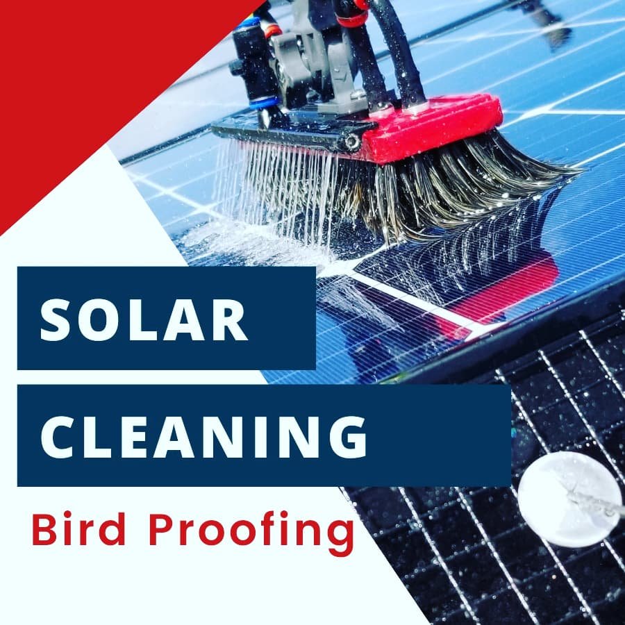 You are currently viewing How Much Does It Cost to Pigeon-Proof Solar Panels? An In-Depth Look