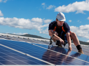 Read more about the article Where to Find Professional Solar Panel Netting and Bird Proof Installation Near You?