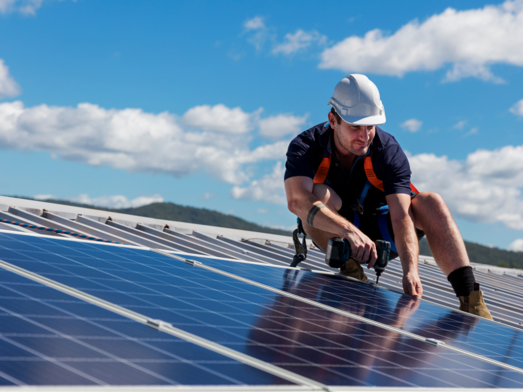 Read more about the article Where to Find Professional Solar Panel Netting and Bird Proof Installation Near You?