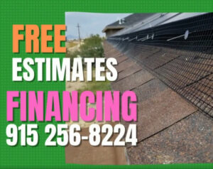 Read more about the article Discover the Best Solar Panel Cleaners Near You!