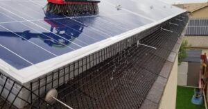 Read more about the article The Cost of Solar Panel Bird Proofing Near You