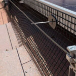 The Cost of Solar Panel Bird Proofing Near You