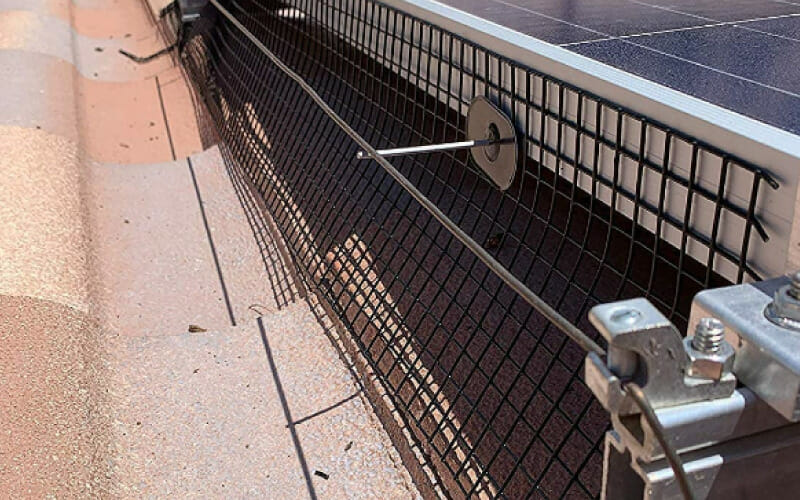 You are currently viewing The Cost of Solar Panel Bird Proofing Near You