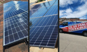 Read more about the article 4 Effective Bird Netting Solutions for El Paso, Texas: Protecting Your Solar Panels