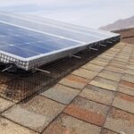Solar Panel Bird Proofing Near Me: Pro Netting Installation Guide, El Paso TX
