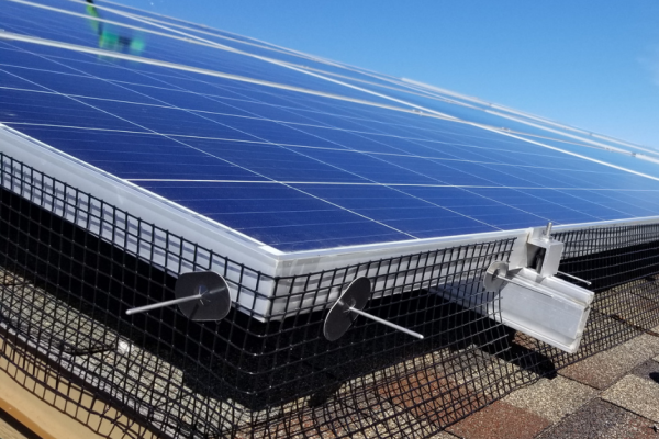 Cleaned-solar-panels-6.png