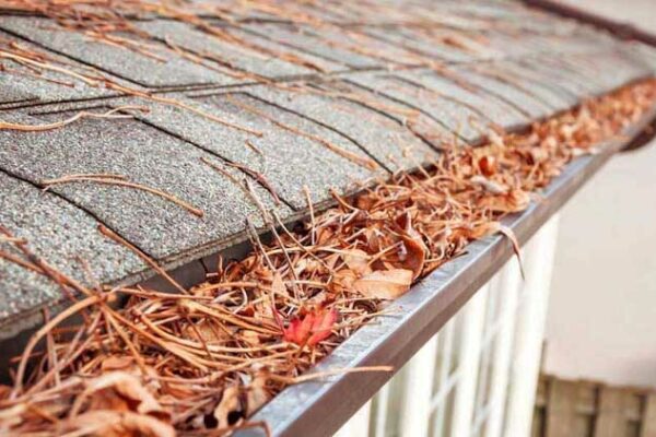 Gutter-Cleaning.jpg